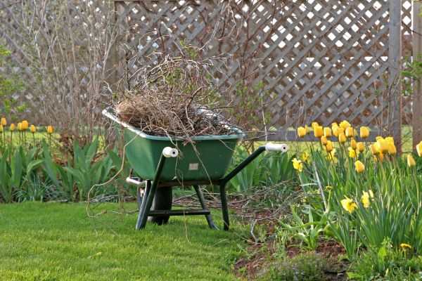 Flower Bed Cleanup Service in Salinas