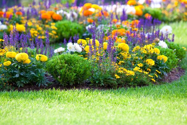 Flower Bed Maintenance in Salinas