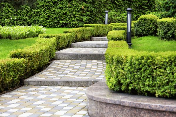 Backyard Remodeling in Salinas