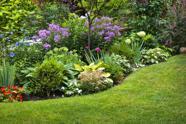 Flower Bed Service in Salinas