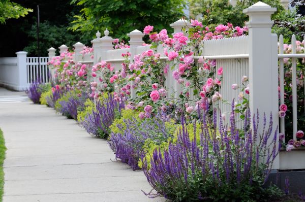 Garden Handyman Service in Salinas