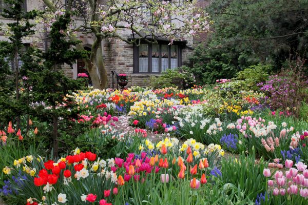 Garden Maintenance Service in Salinas