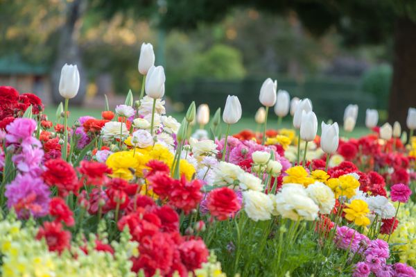 Gardening Service in Salinas