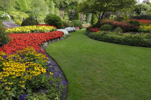 Landscaping Maintenance in Salinas