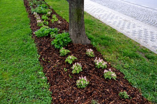 Mulch Replacement Service in Salinas