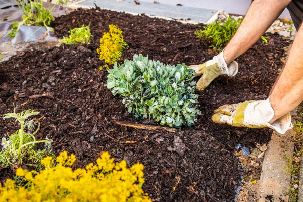 Weeding And Mulching in Salinas
