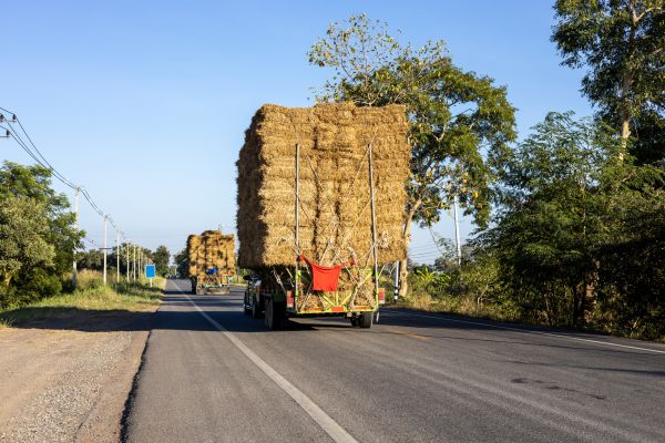 Pine Straw Delivery in Salinas