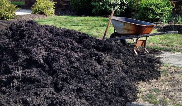 Black Mulch Delivery in Salinas