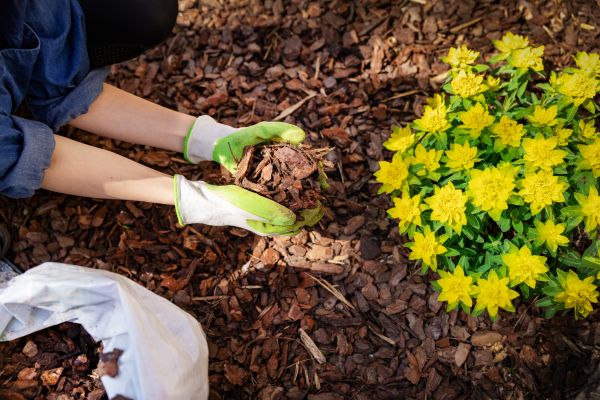 Garden Mulching in Salinas