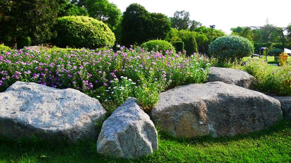 Boulder Landscaping in Salinas