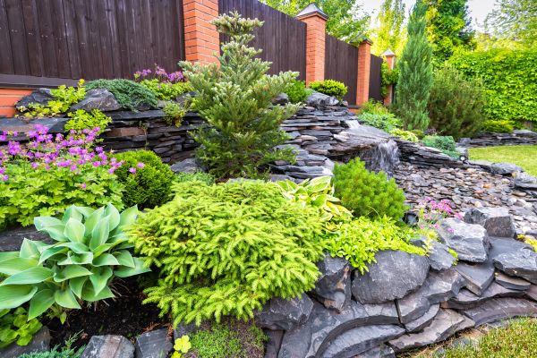 Landscape Remodeling in Salinas