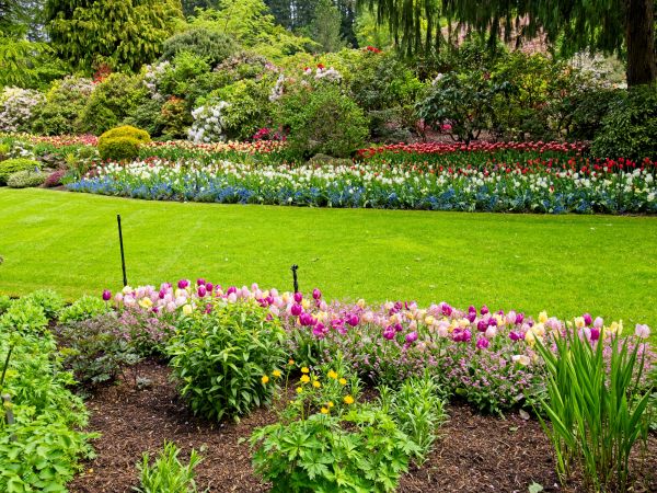 Residential Landscape Design in Salinas