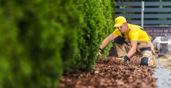 Cypress Mulch Installation in Salinas