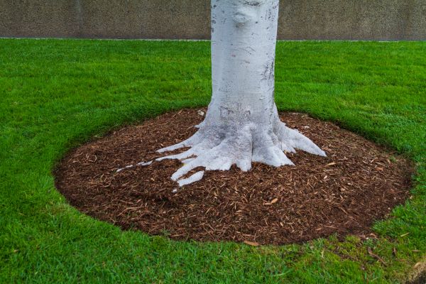 Brown Mulch Installation in Salinas