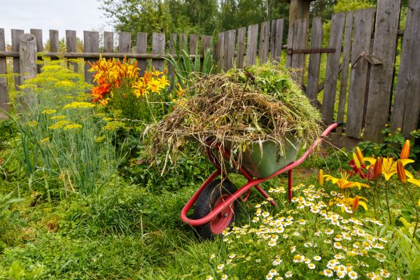 Garden Cleanup Service in Salinas