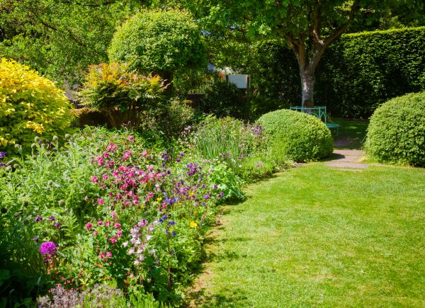 Yard Landscaping Service in Salinas
