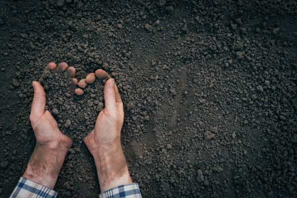 Soil Installation in Salinas