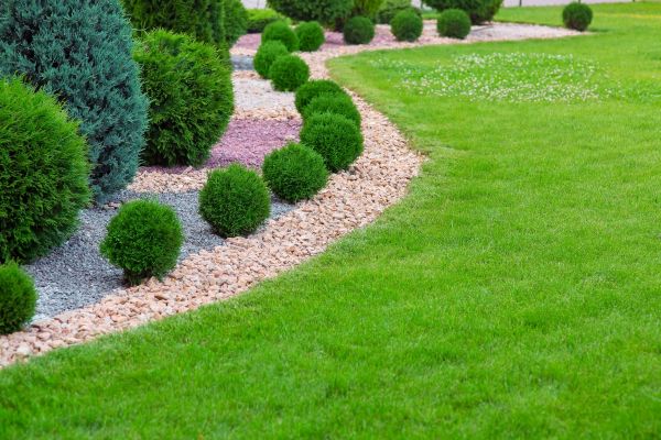 Edging Stones Installation in Salinas