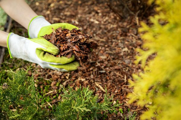 Garden Mulch Delivery in Salinas