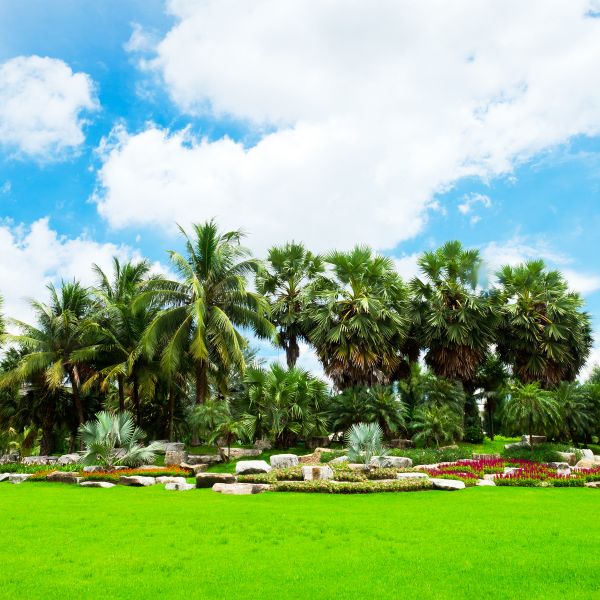 Tropical Landscaping in Salinas