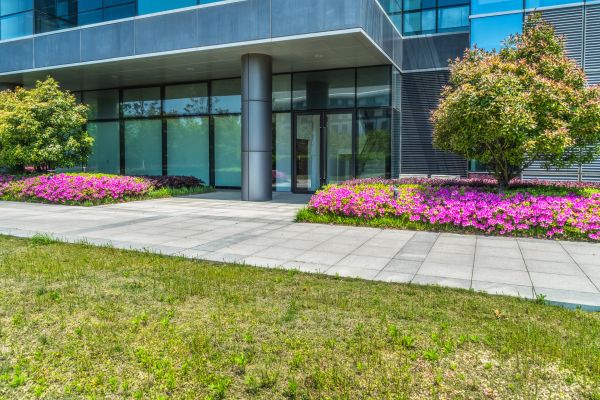 Commercial Gardening in Salinas