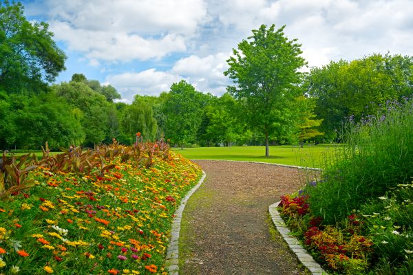 Park Landscaping in Salinas