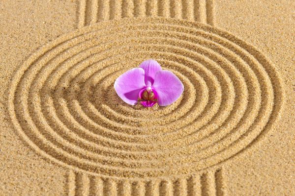 Sand Garden Landscaping in Salinas