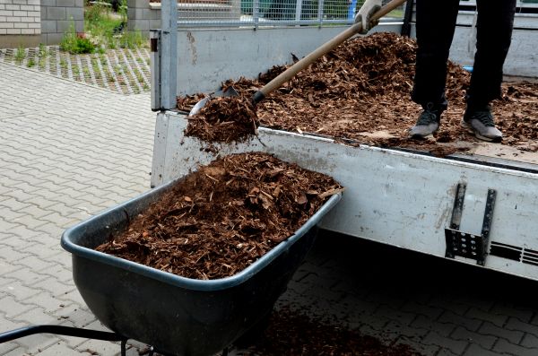 Cypress Mulch Delivery in Salinas