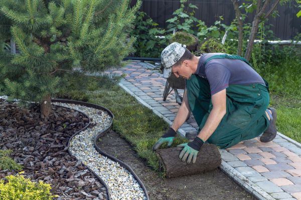 Landscaping Modification in Salinas