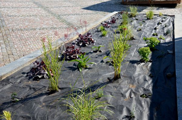 Landscape Fabric Installation in Salinas