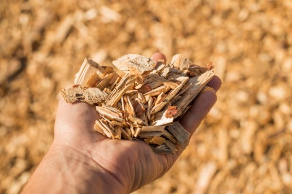 Wood Chips Spreading in Salinas