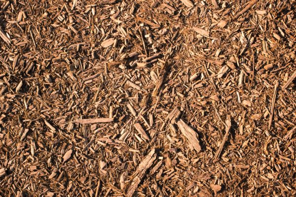 Wood Chips Removal in Salinas