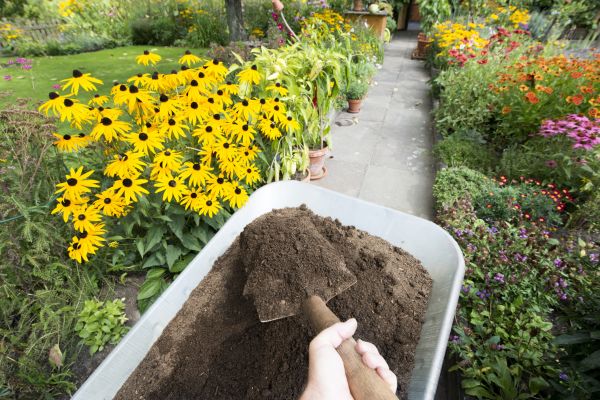 Topsoil Replacement in Salinas
