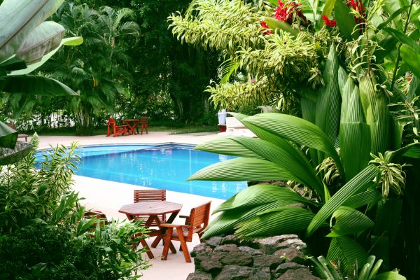 Pool Area Landscaping in Salinas