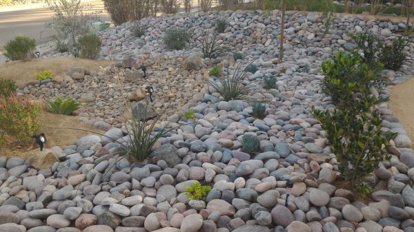 Yard Xeriscaping in Salinas
