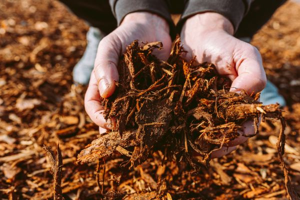 Bark Chips Delivery in Salinas