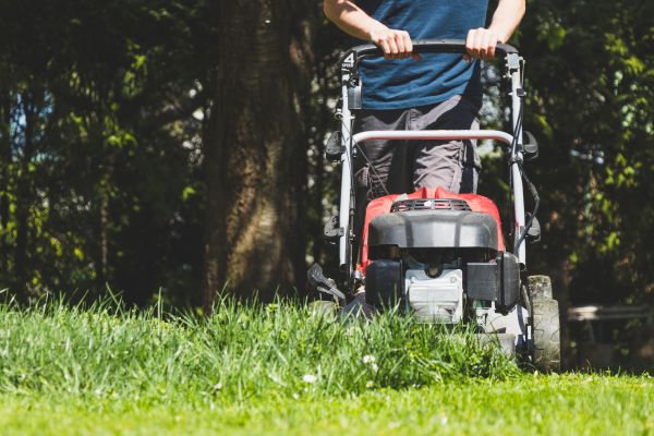 Garden Trimming Service in Salinas