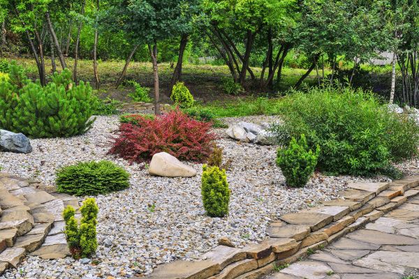 Hardscape Landscaping in Salinas