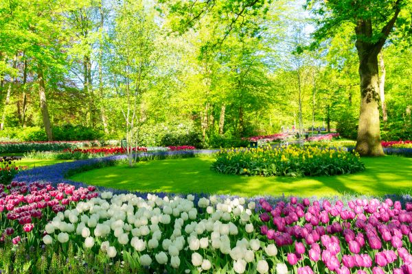 Flower Landscaping in Salinas
