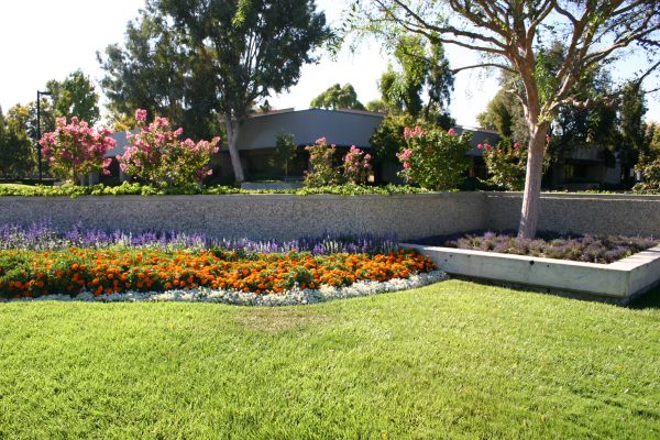 Commercial Landscape Service in Salinas