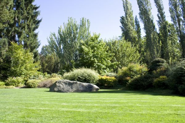 Yard Enlargement in Salinas