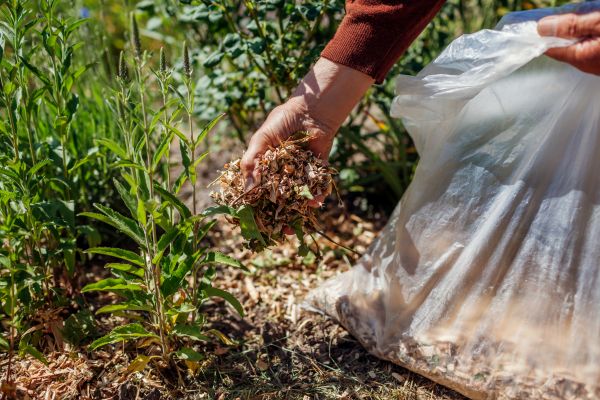 Wood Mulch Installation in Salinas