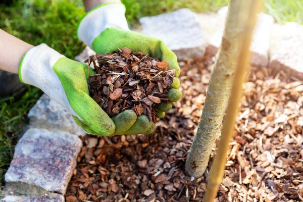 Tree Bark Delivery in Salinas