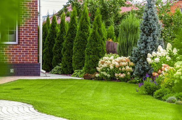 Spring Landscaping in Salinas