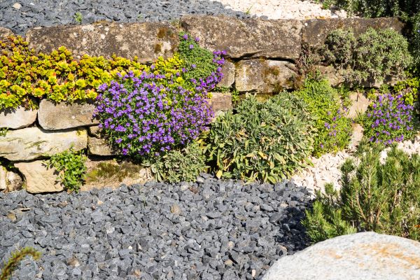 Landscaping Rocks Installation in Salinas