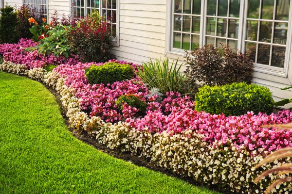 Garden Landscape Design in Salinas