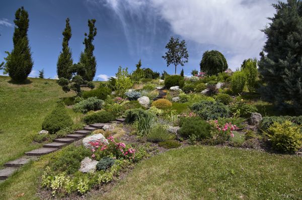Steep Terrain Landscaping in Salinas