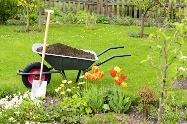 Spring Yard Renovation in Salinas