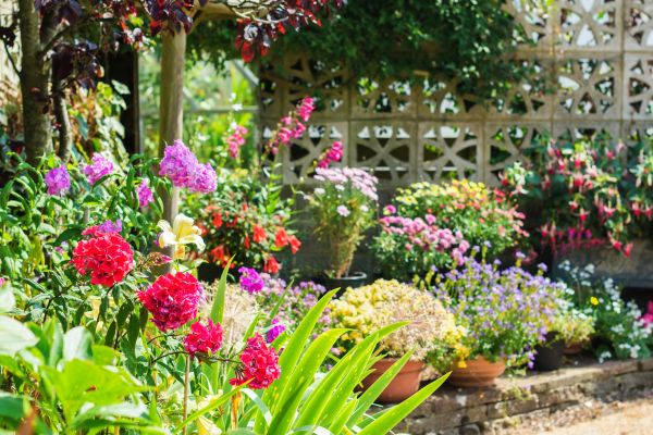 Spring Garden Maintenance in Salinas