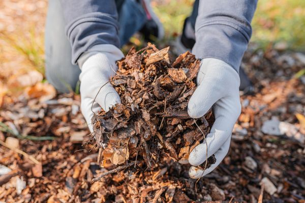 Shredded Mulch Installation in Salinas